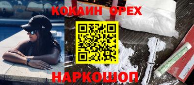 шишки Кингисепп