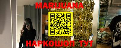 шишки Кингисепп