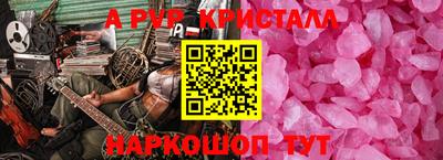 шишки Кингисепп