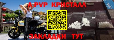 шишки Кингисепп
